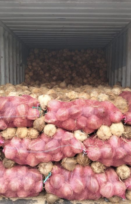 WhatsApp Image 2025-09-13 at 4.23.45 PM (1) WhatsApp Image 2025-09-13 at 4.23.45 PM (1)