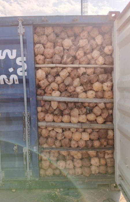 WhatsApp Image 2025-09-13 at 4.23.45 PM WhatsApp Image 2025-09-13 at 4.23.45 PM