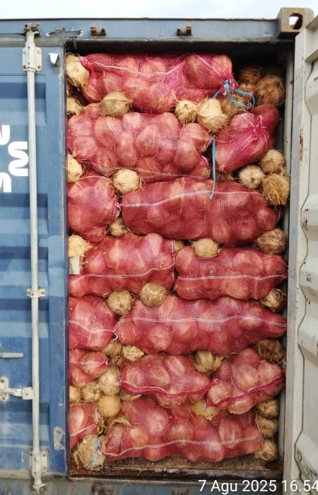 WhatsApp Image 2025-09-13 at 4.23.46 PM WhatsApp Image 2025-09-13 at 4.23.46 PM