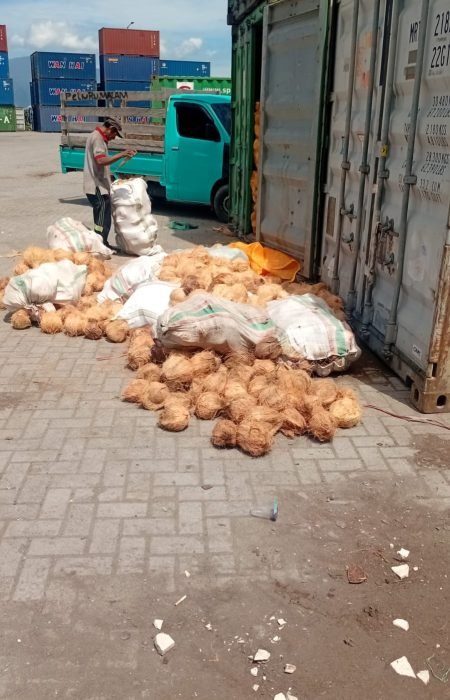 WhatsApp Image 2025-09-13 at 4.23.48 PM (1) WhatsApp Image 2025-09-13 at 4.23.48 PM (1)