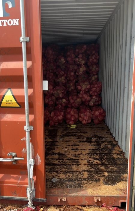 WhatsApp Image 2025-09-13 at 4.23.48 PM WhatsApp Image 2025-09-13 at 4.23.48 PM