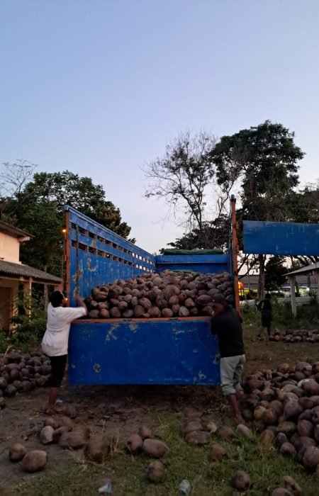 WhatsApp Image 2025-09-13 at 4.23.49 PM WhatsApp Image 2025-09-13 at 4.23.49 PM