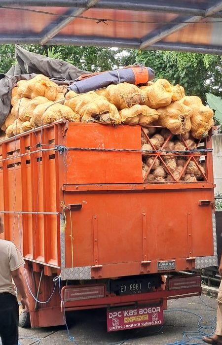 WhatsApp Image 2025-09-13 at 4.23.50 PM (1) WhatsApp Image 2025-09-13 at 4.23.50 PM (1)