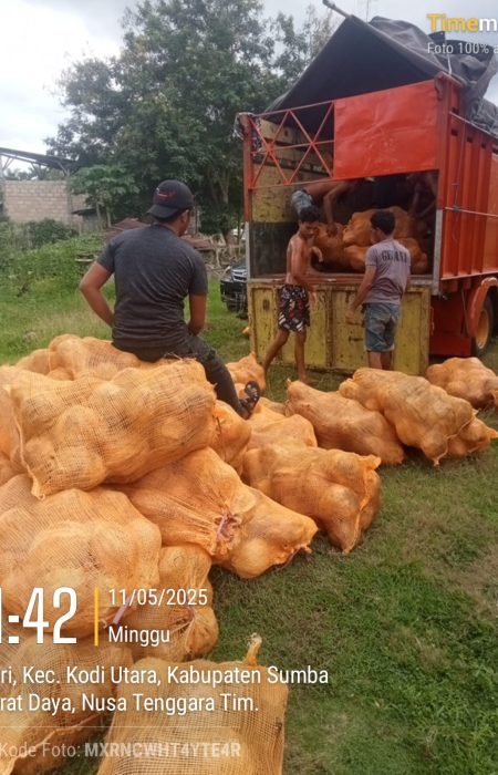 WhatsApp Image 2025-09-13 at 4.23.50 PM (2) WhatsApp Image 2025-09-13 at 4.23.50 PM (2)